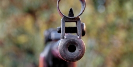 a gun